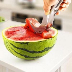 Melon Cutter1