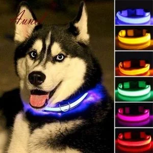 PET Led Flash Collar